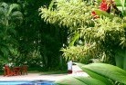 Woodlawntropical-landscaping-17.jpg; ?>