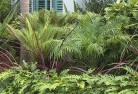 Woodlawntropical-landscaping-2.jpg; ?>