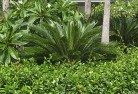 Woodlawntropical-landscaping-4.jpg; ?>