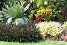 Woodlawntropical-landscaping-9.jpg; ?>